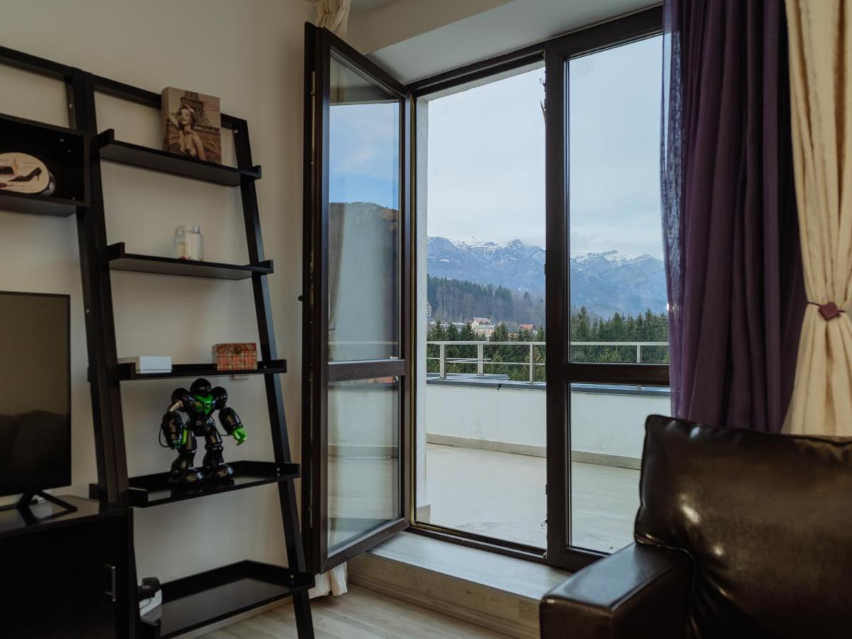 Panoramic Loft Colina Marei Leilighet Sinaia Eksteriør bilde